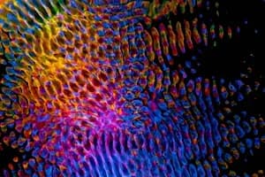 The Neuroscience of Sadness